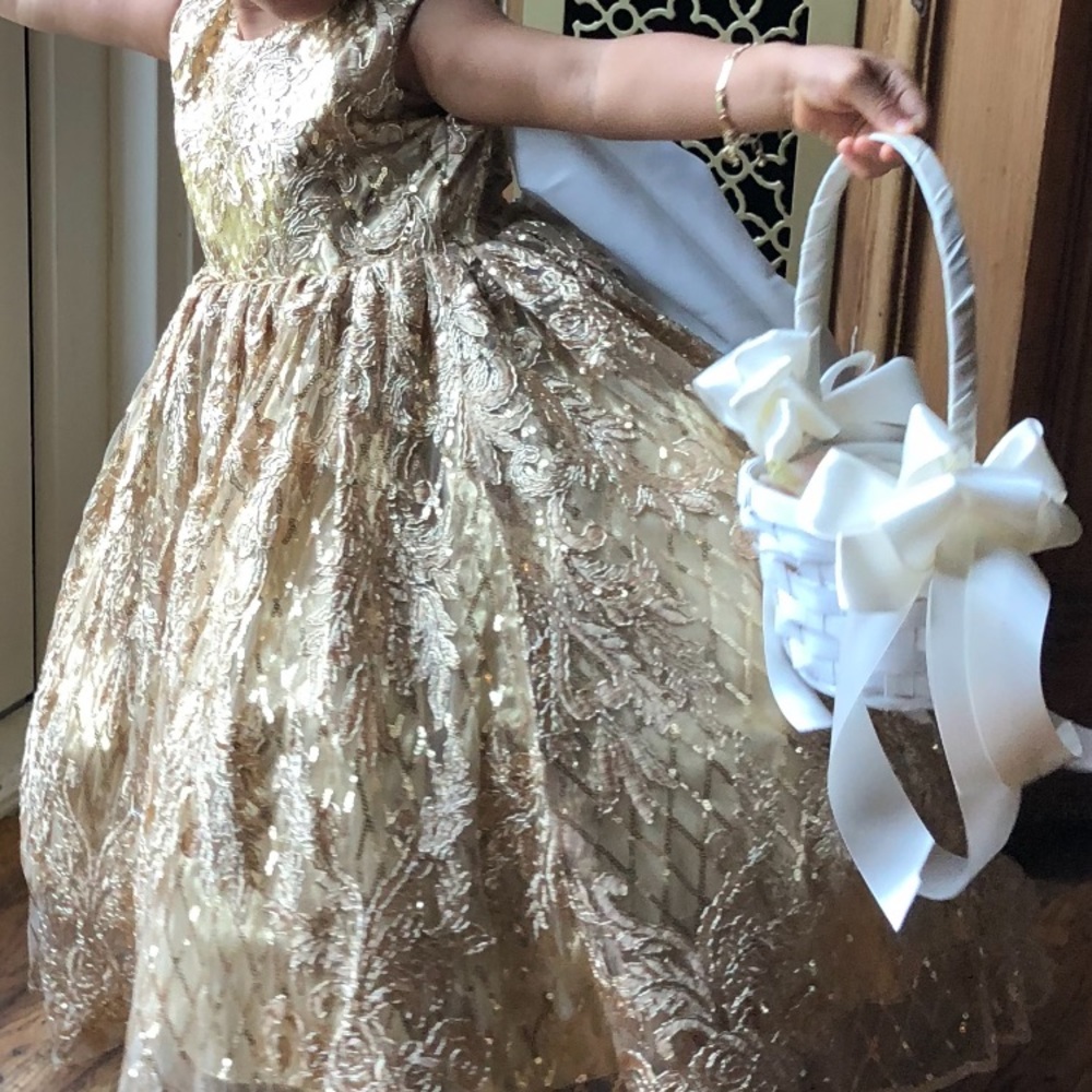 Flower girl,christening,bday gown size 24mths - Picture 6 of 8